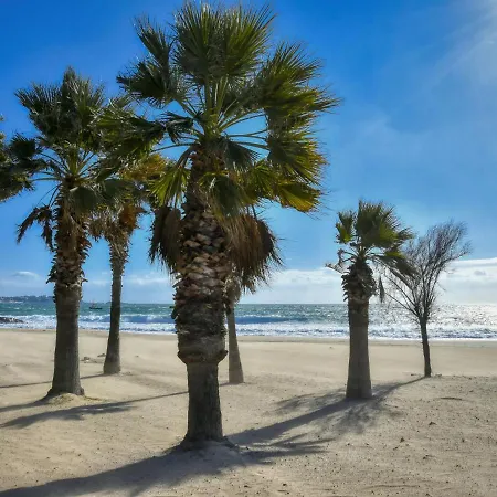 Le Mediterranee-1 By Interhome * Frejus